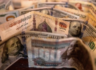  شلل السوق السوداء للدولار في مصر عقب قرارات البنك المركزي 