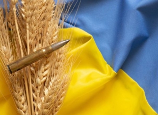 حرب أوكرانيا ترفع أسعار الحبوب والزيت لمستويات قياسية 