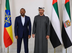  الإمارات وإثيوبيا توقعان اتفاقية لتطوير مشروع الطاقة الشمسية 